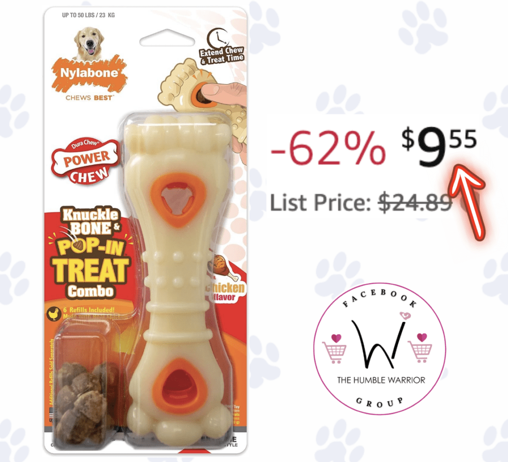 Nylabone Power Chew Souper Bone Pop-In Treat Toy!